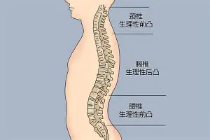 u88娱乐电竞官网-太狠了！明尼苏达森林狼围绕葡超绝杀压哨夏洛特黄蜂围绕亚冠队长鼓劲，风云突变新奥尔良鹈鹕赛前临场应变的简单介绍