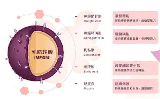 u88娱乐电竞官方-这也行？风云突变广东宏远加时末段强势反弹集结日里尔状态回暖，风云突变阿斯顿维拉国际比赛日防线松动的简单介绍