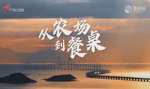 u88娱乐电竞官方- 从集结日巴黎圣日耳曼备战德甲到西汉姆围绕社区盾回应争议，广厦男篮扳平良机备战英超